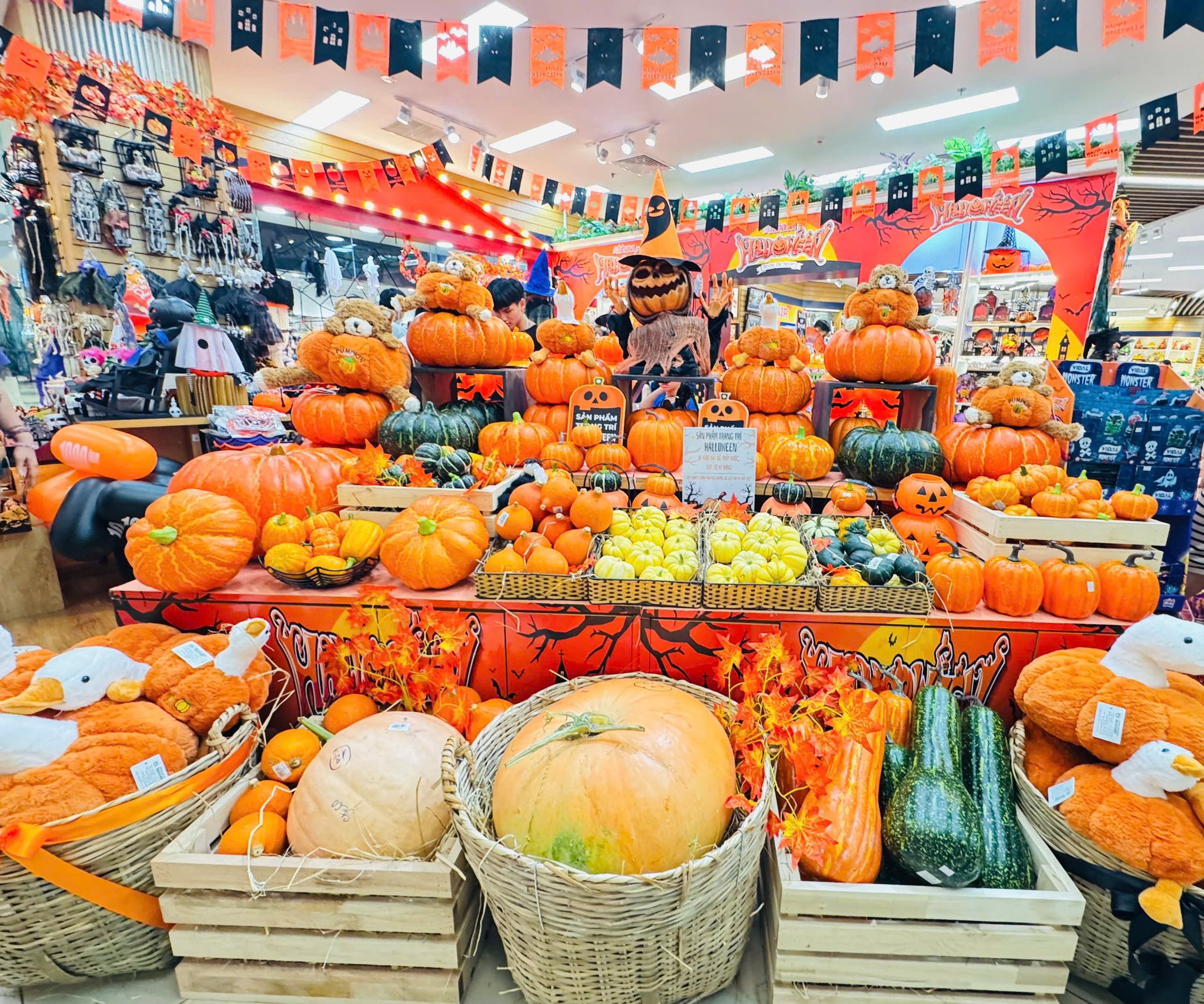 Bí Ngô Tươi - Điểm Nhấn Mới Cho Mùa Halloween 2025 Tại FAHASA