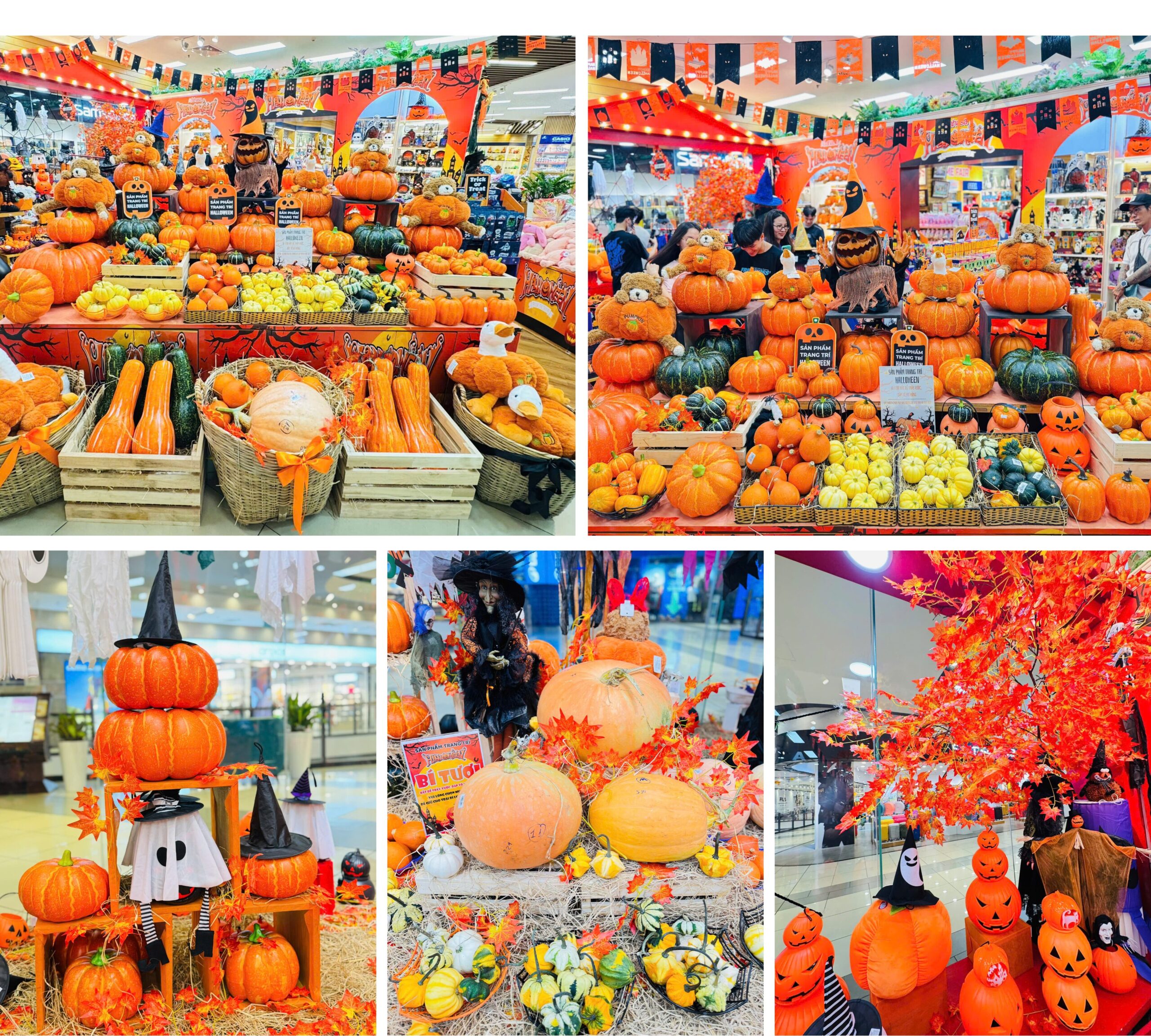 Nhà sách FAHASA Tân Phú - Điểm đến Halloween ngập tràn sắc cam và bí ngô tươi