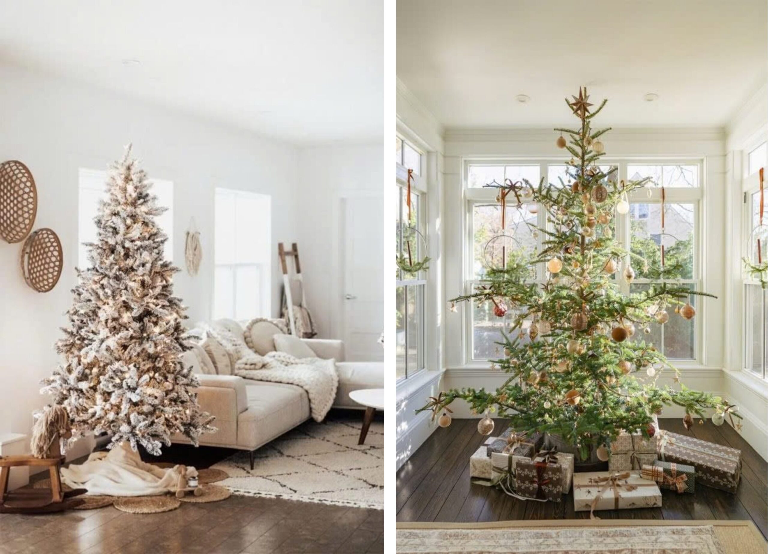 Ảnh: Nguồn sưu tầm