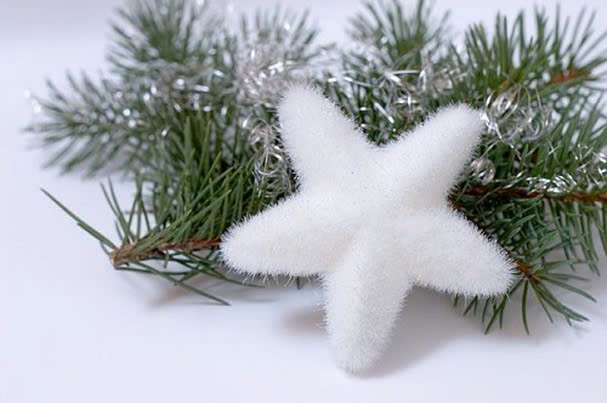 5+ Ý Tưởng Trang Trí Noel Đẹp, Ấm Áp Và Tiết Kiệm 2025