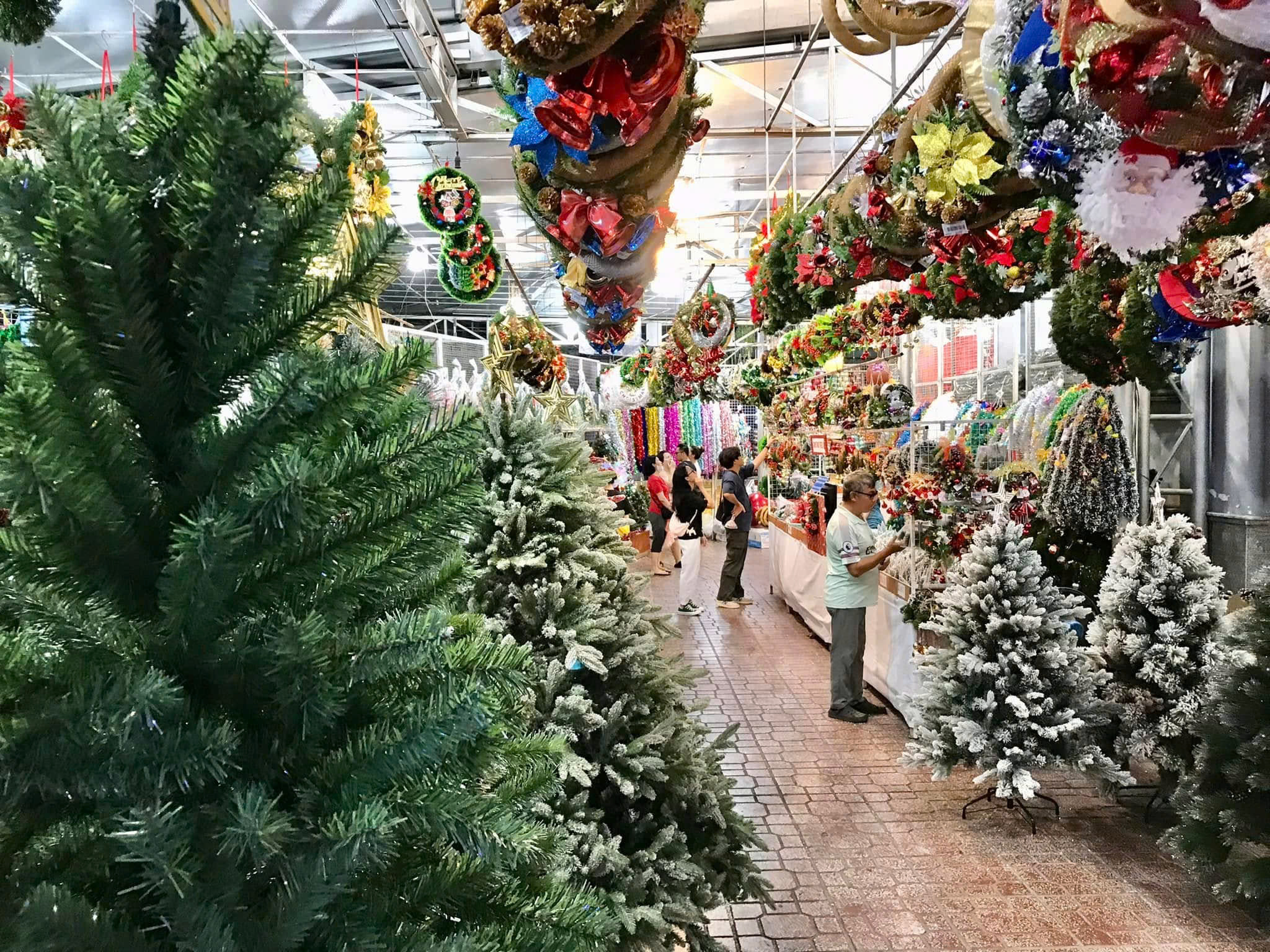 Nguồn: Page Đền Đức Mẹ Hằng Cứu Giúp