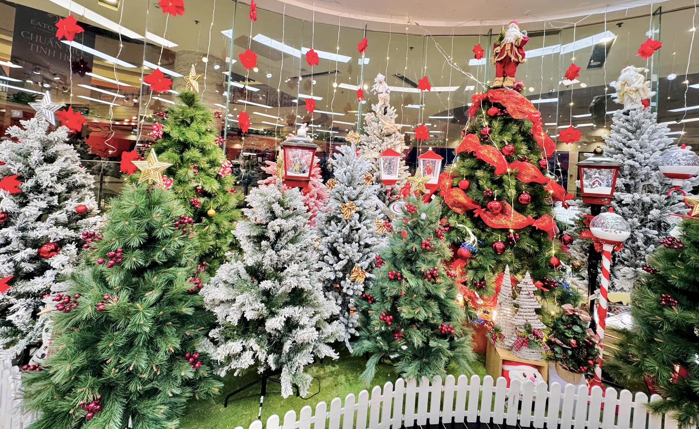 The Origin and Meaning of Christmas