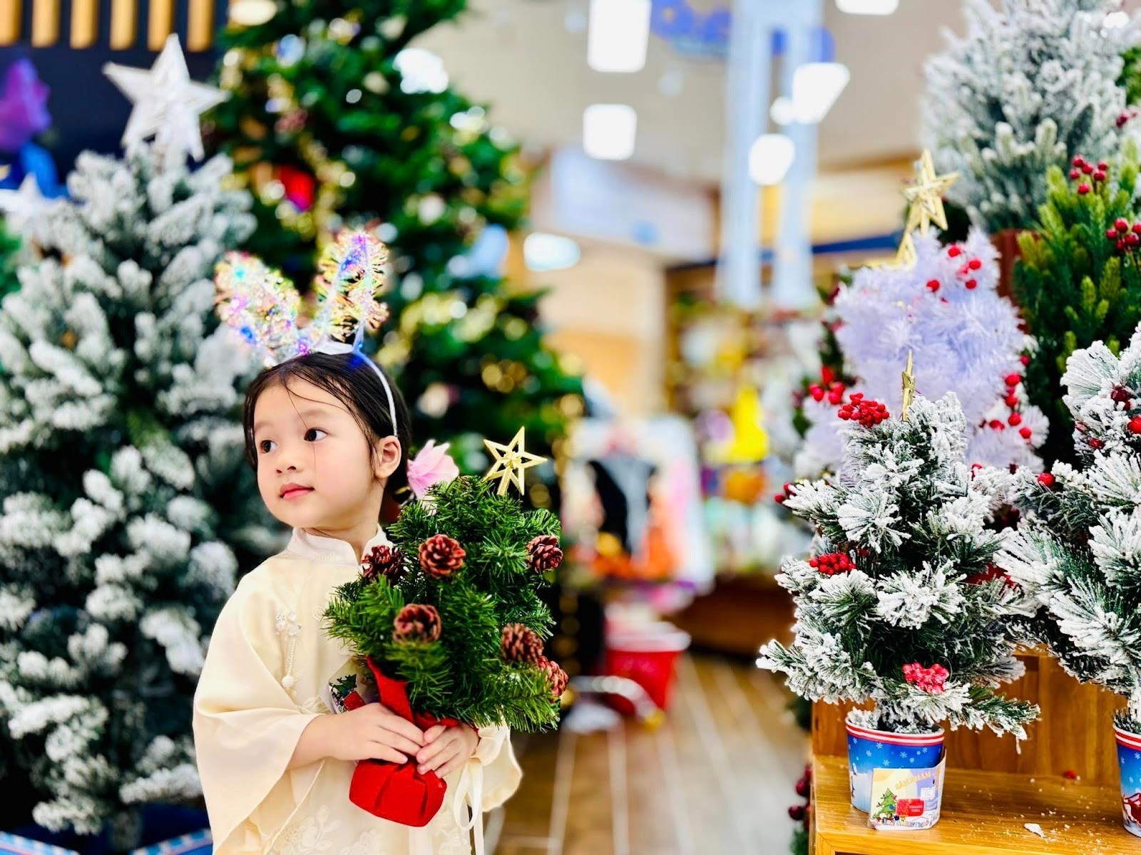 10 Cách Trang Trí Giáng Sinh Ngoài Trời Đẹp Mà Đơn Giản Ngay Tại Nhà