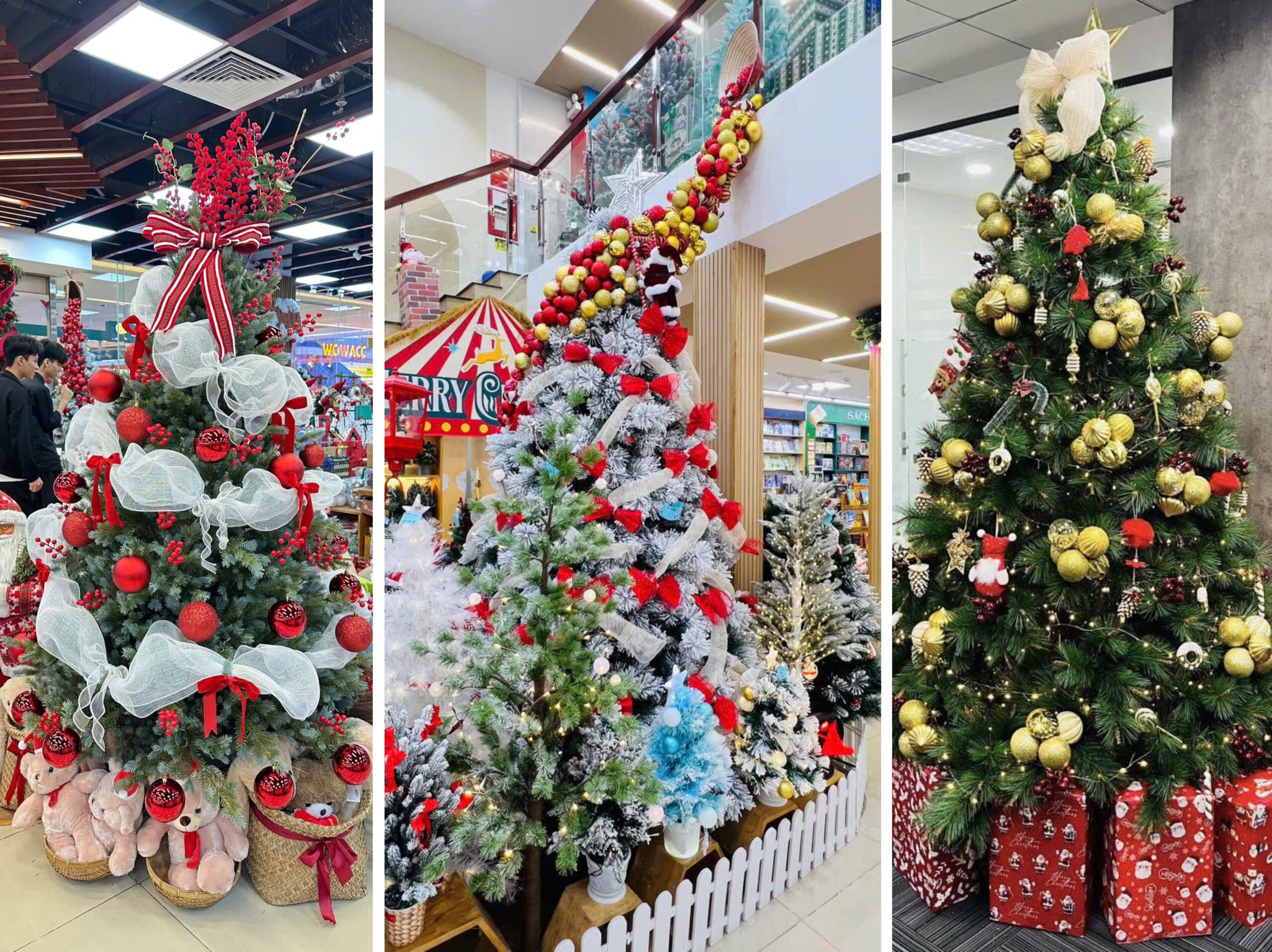 Mua Cây Thông Noel Trọn Gói Ở FAHASA Tại TP.HCM