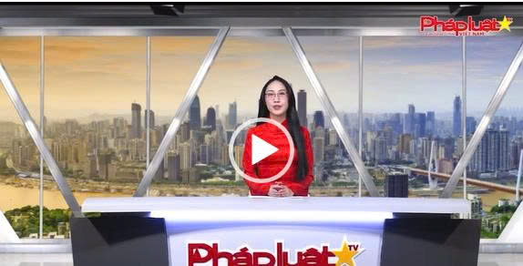 Kênh truyền hình và Pháp Luật Việt Nam đã đưa tin về sự kiện Công ty FAHASA tổ chức Lễ khai mạc Tuần lễ sách NXB Penguin Random House US tại Nhà sách Nguyễn Huệ từ ngày 12.12 2025 đến 04.01.2026.