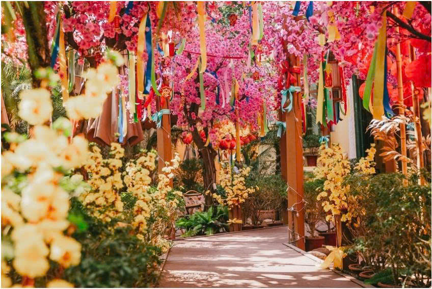 Trang trí hoa mai, hoa lan, hoa đào làm điểm nhấn Trang trí hoa mai, hoa lan, hoa đào làm điểm nhấn