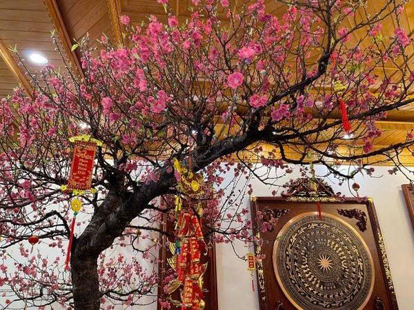 Trang trí phòng khách với hoa mai, hoa đào - sắc xuân lan tỏa