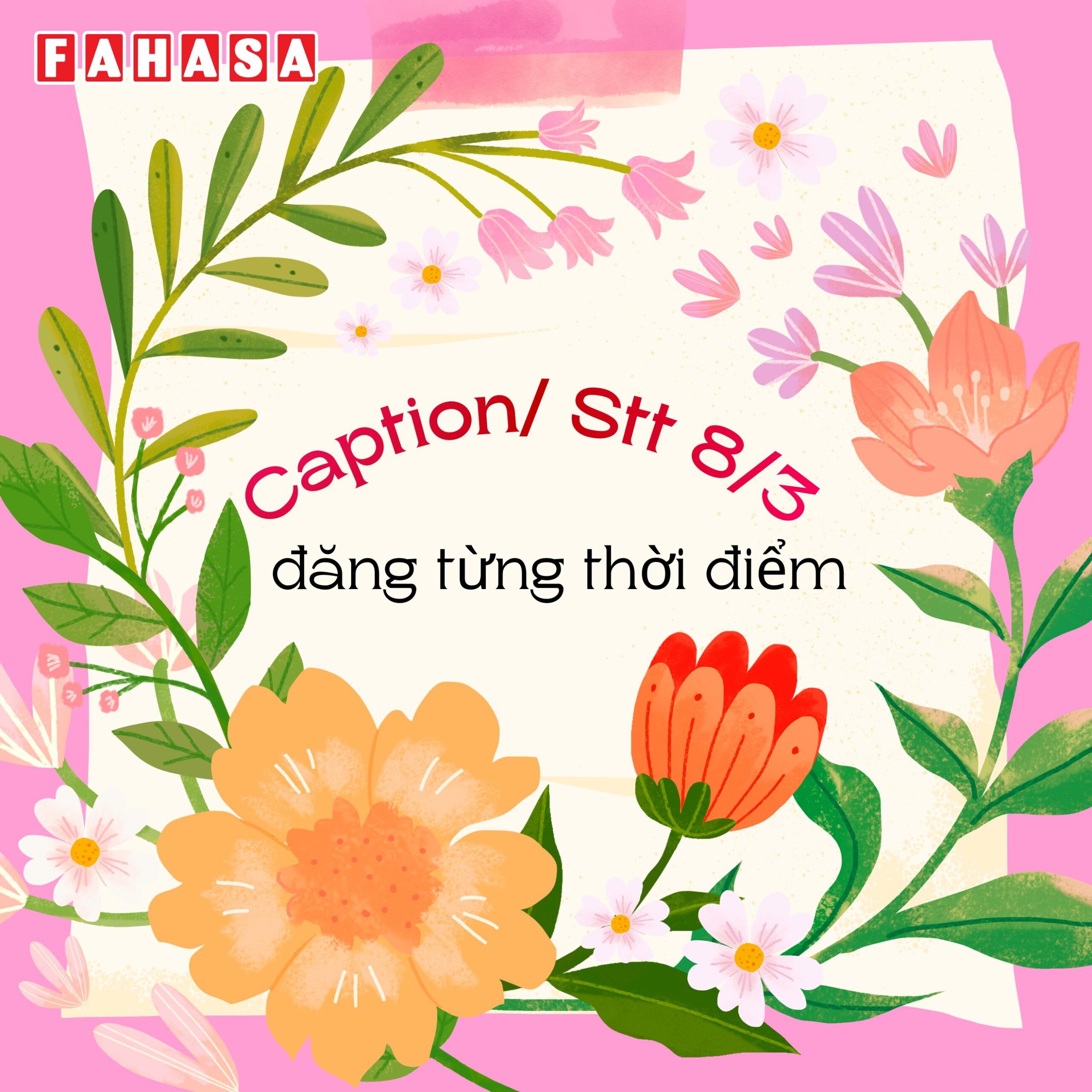 Caption/STT 8/3 theo tình huống