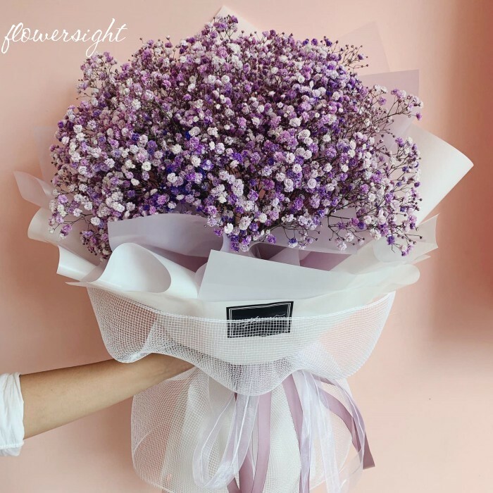 Hoa baby - Sự thuần khiết