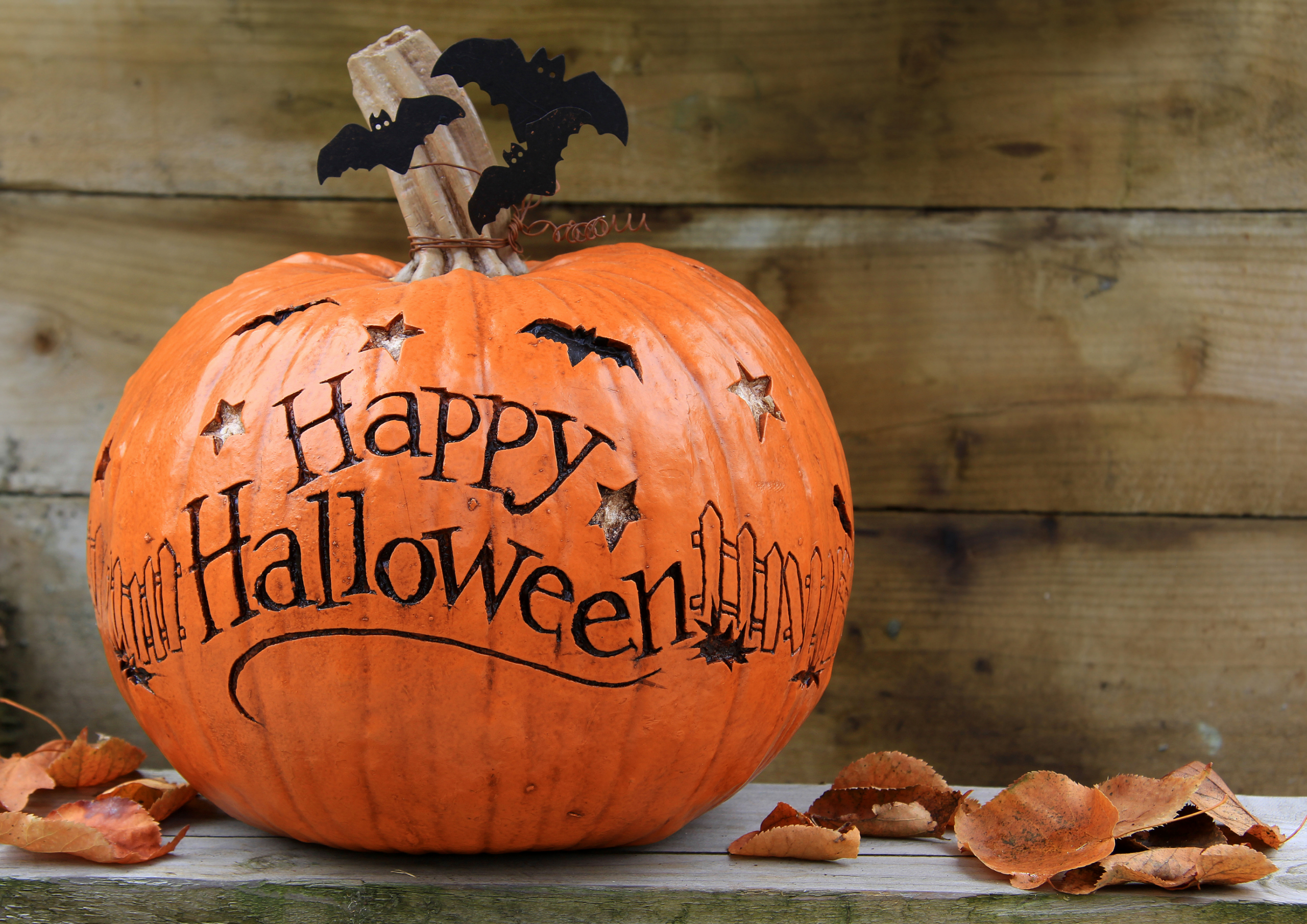 Các Bước Khắc Bí Ngô Halloween Đơn Giản Tại Nhà: Chọn Bí Ngô Phù Hợp Các Bước Khắc Bí Ngô Halloween Đơn Giản Tại Nhà: Chọn Bí Ngô Phù Hợp