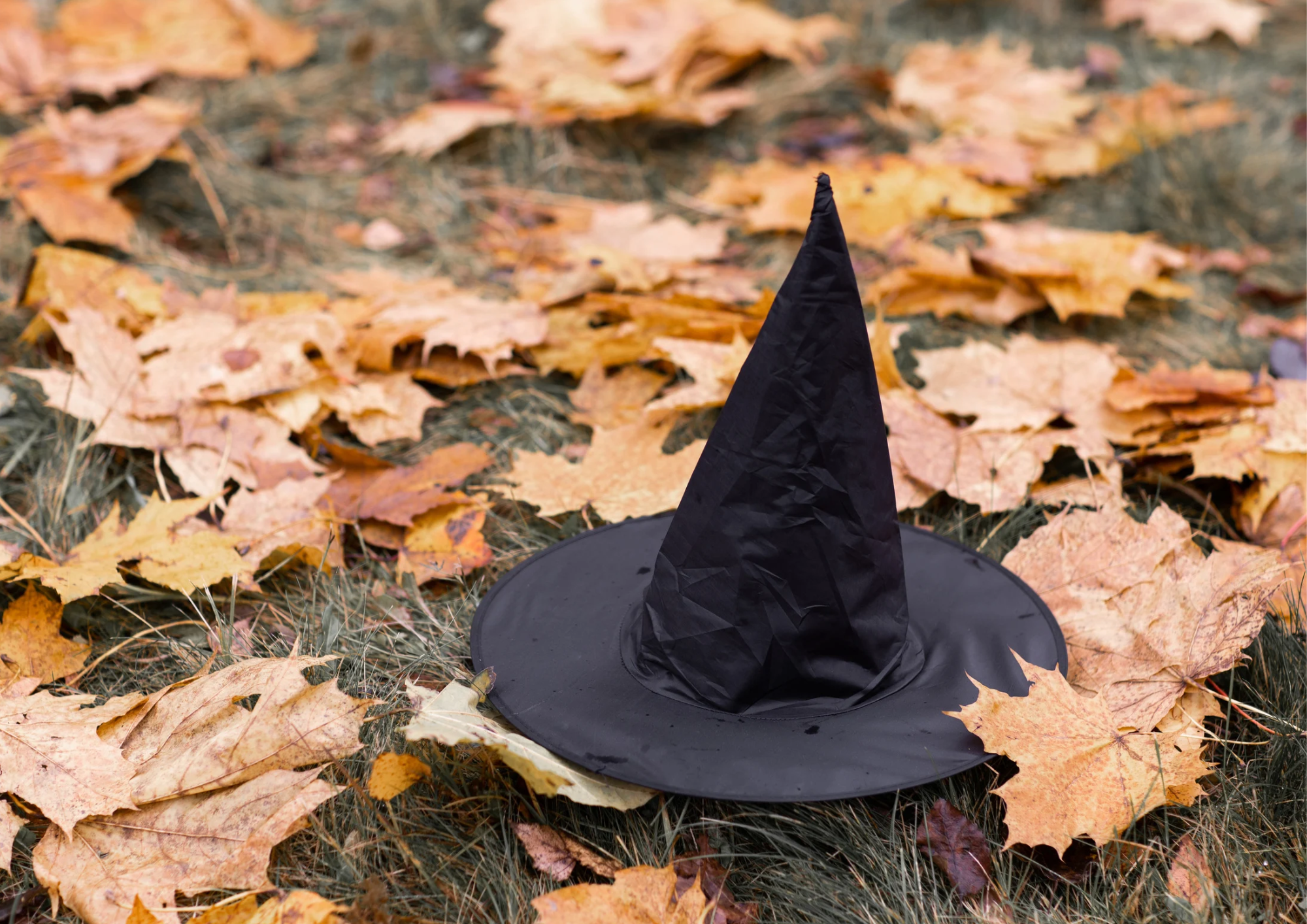 Cách Làm Đồ Trang Trí Halloween Bằng Giấy Đơn Giản: Làm Mũ Phù Thủy Mini Bằng Bìa Cứng