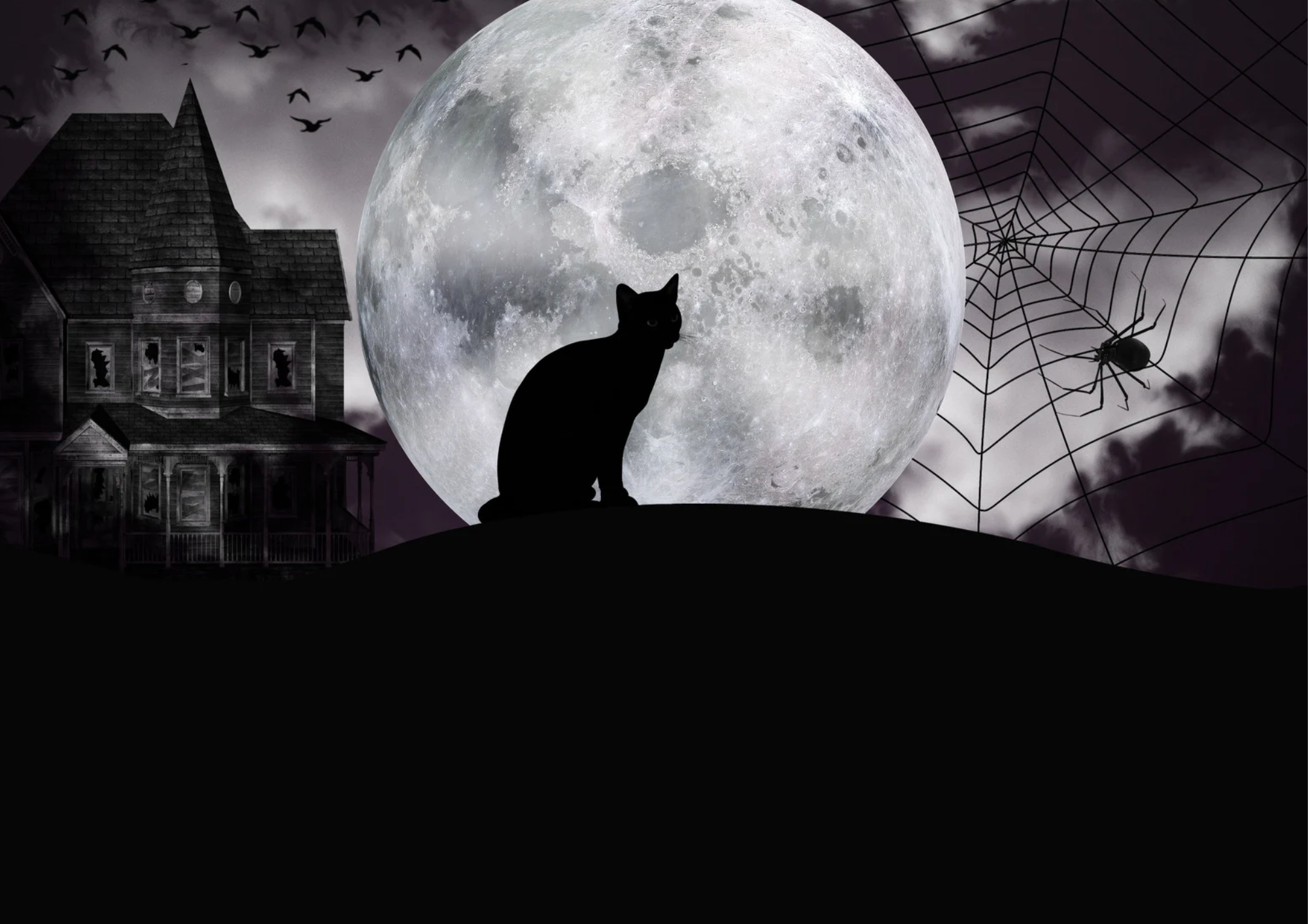 Các biểu tượng Halloween phổ biến: Mèo đen, dơi, nhện