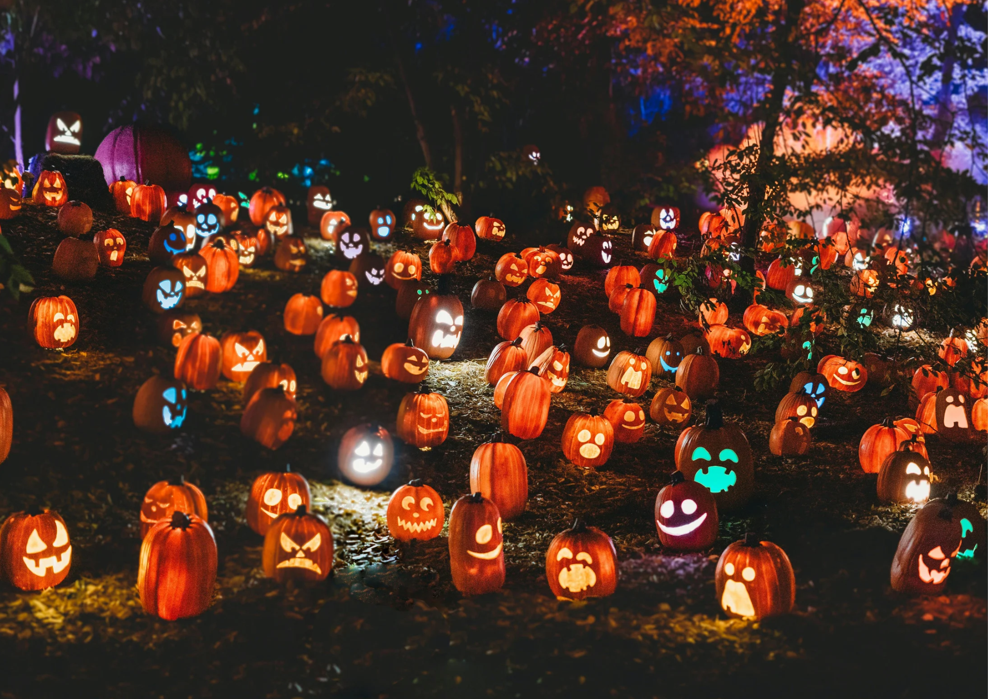 Trang Trí Halloween Ngoài Trời