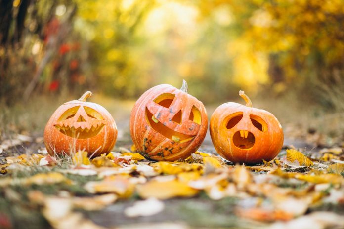 Vun đắp tình bạn bằng những lời chúc Halloween vui vẻ, hài hước (Nguồn: Internet)